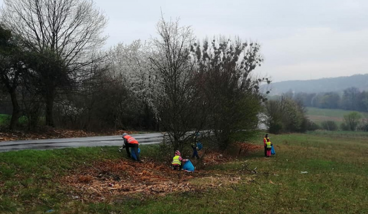 6. fotografia fotogalérie Dobrovoľná brigáda - čistenie lesa