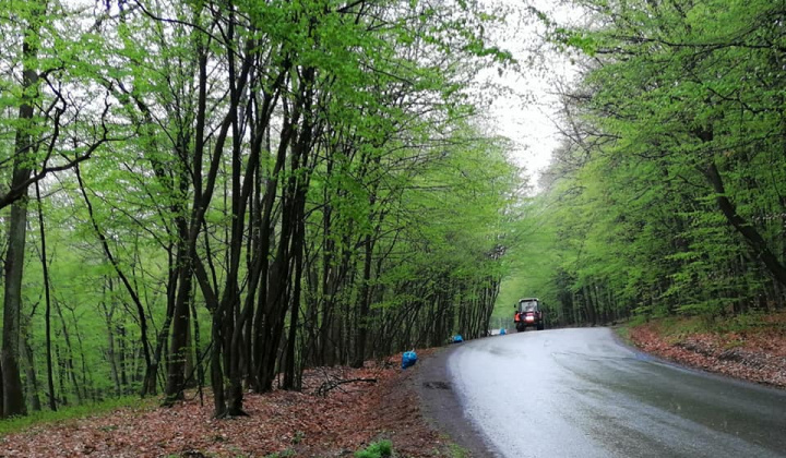 7. fotografia fotogalérie Dobrovoľná brigáda - čistenie lesa