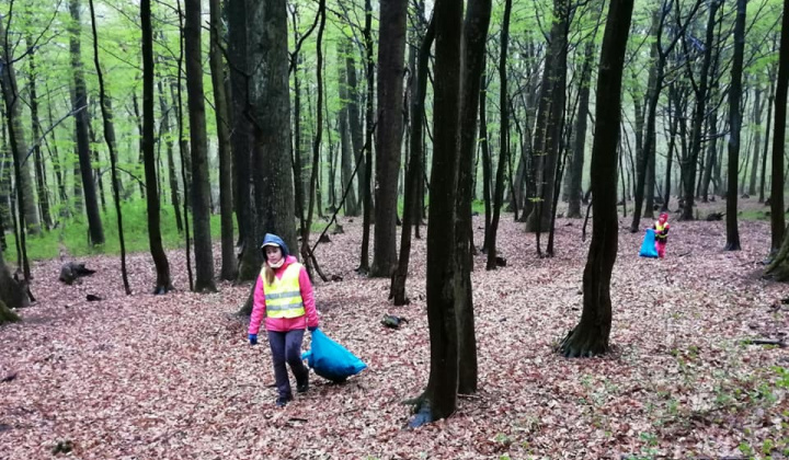 8. fotografia fotogalérie Dobrovoľná brigáda - čistenie lesa